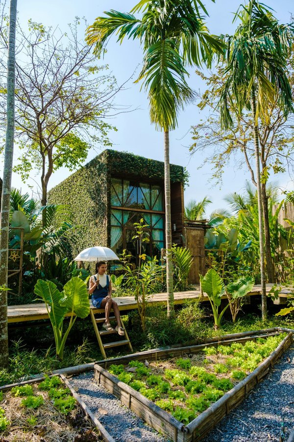 Découvrez les tendances 2024 pour votre chalet de jardin